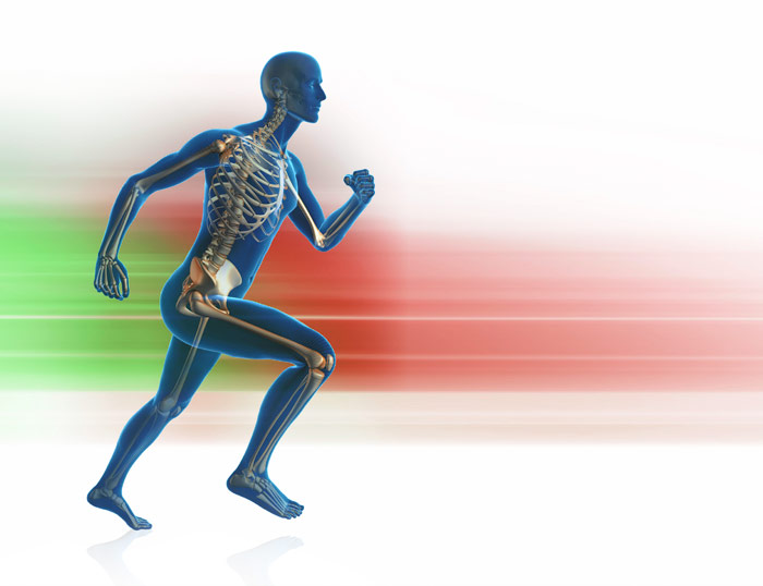 kinesiologia